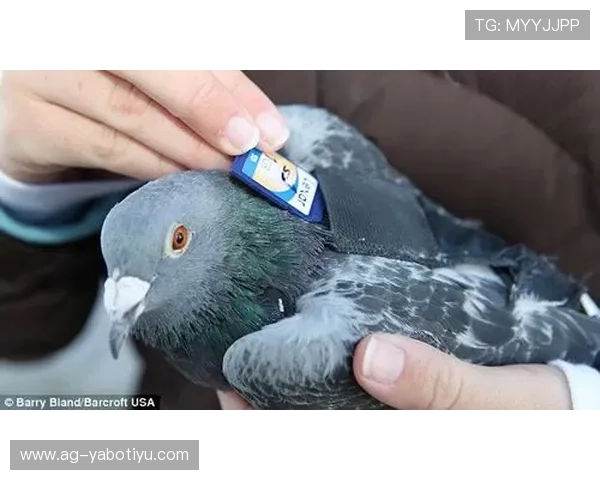 亚博全球：探索最全面的国际在线博彩平台与安全保障措施