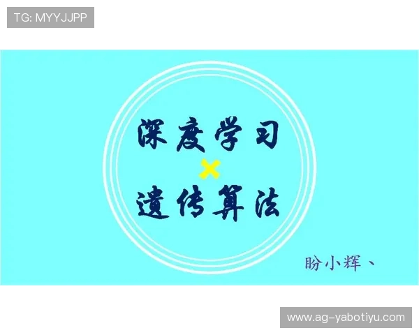 b体育官方网页安全保障措施全面解析，确保用户个人信息与资金安全的最佳实践